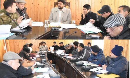 DC Ganderbal chairs Road Safety Committee meeting