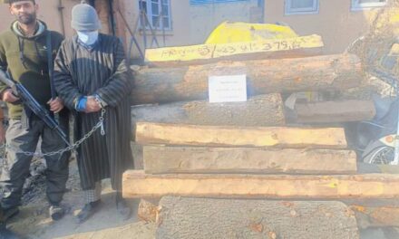 Illicit timber seized by Budgam Police, accused arrested.