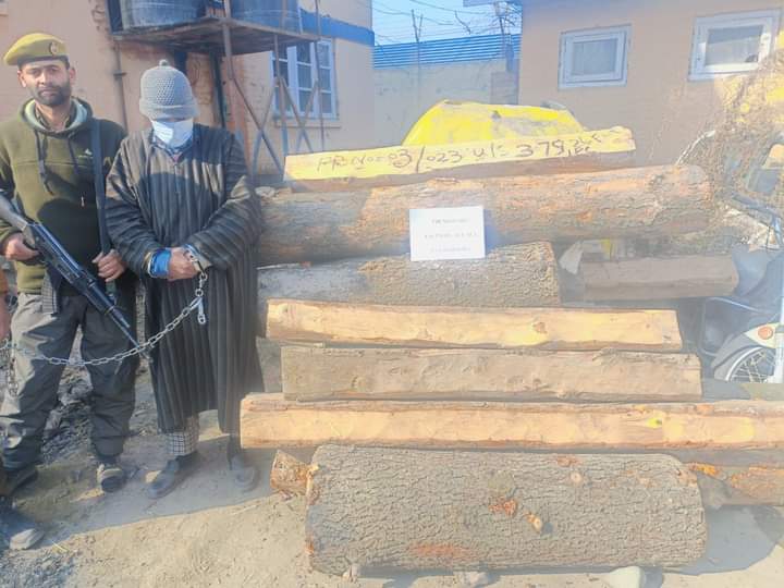 Illicit timber seized by Budgam Police, accused arrested.