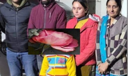 Doda man along with family fakes death in car accident to evade loan debit: Police