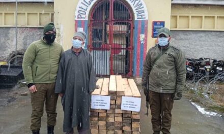 Illicit timber seized by Budgam Police, accused arrested