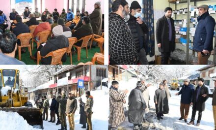 ADC Gbl reviews restoration of essential services in Sub-Division Kangan
