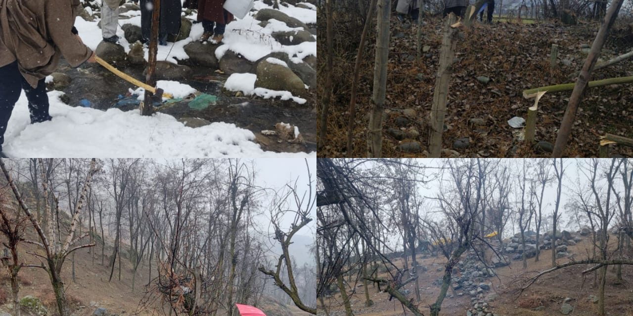 Anti-encroachment drive:Distt Admin Gbl retrieves 983 Kanals of State/ Kahcharie Land;56% State land & 47% Kahcharai land retrieved so far