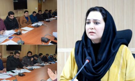 DC B’la reviews progress of digitization of Massavis, other Revenue related matters