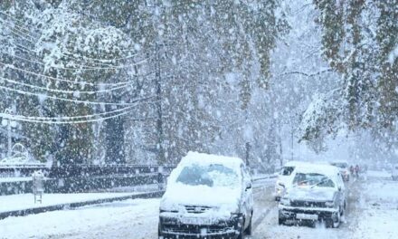 WD Affects J&K, Moderate To Heavy Snowfall Likely In J&K