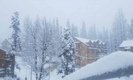 Kashmir Braces For Widespread Snowfall Today, Night Temp Rises
