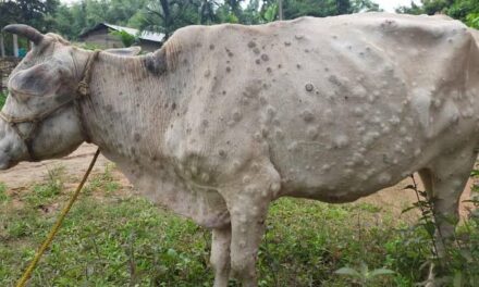 Lumpy Skin Disease:Govt declares J&K as ‘Free area’ for purposes of PCICDA Act 2009