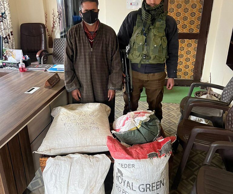Drug peddler arrested, 15 KG cannabis retrieved; Srinagar Police