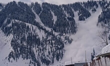 Avalanche hits Gurez, no loss of life reported