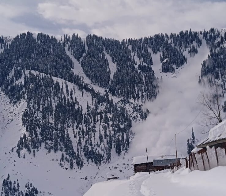 Avalanche hits Gurez, no loss of life reported