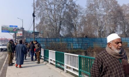 Lady jumps into river Jhelum in Srinagar