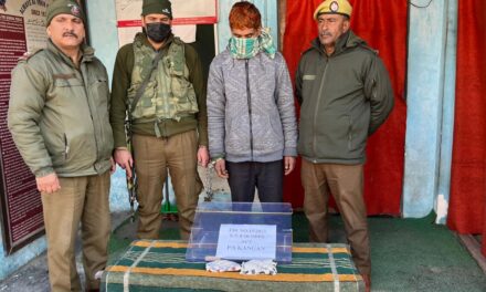 In continuation to war against drugs; drug peddler arrested alongwith narcotics in the jurisdiction of ps Kangan