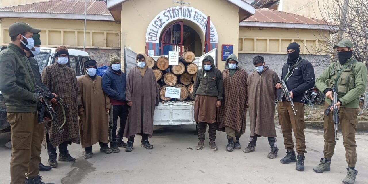 Police seizes illicit timber in Budgam, 07 arrested