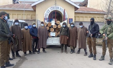 Police seizes illicit timber in Budgam, 07 arrested