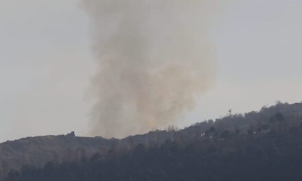 Several landmines explode amid forest fire along LoC in Poonch