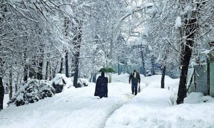 Scattered to widespread rains, snow forecast in J&K