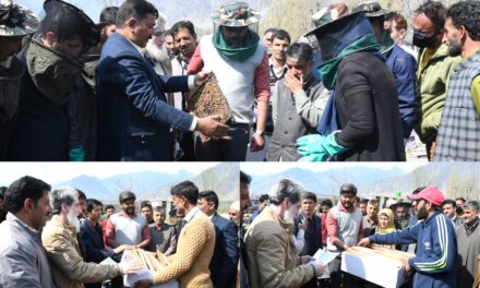 260 Honey Bee Colonies distributed among beneficiaries of block Gund under ABDP