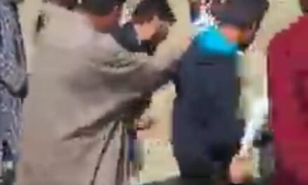 Police arrest 7 accused involved in illegal mining, thrashing Govt employees in Kulgam