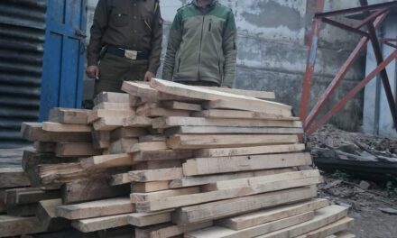Illicit timber seized, case registered in Handwara