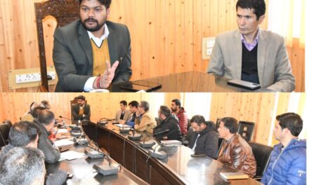DC Ganderbal reviews power scenario in district Directs for uninterrupted power supply to consumers during peak hours