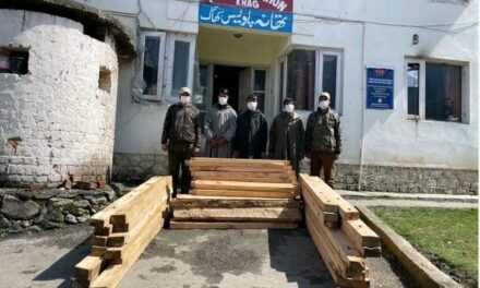 Illicit timber seized in Budgam, three arrested: Police