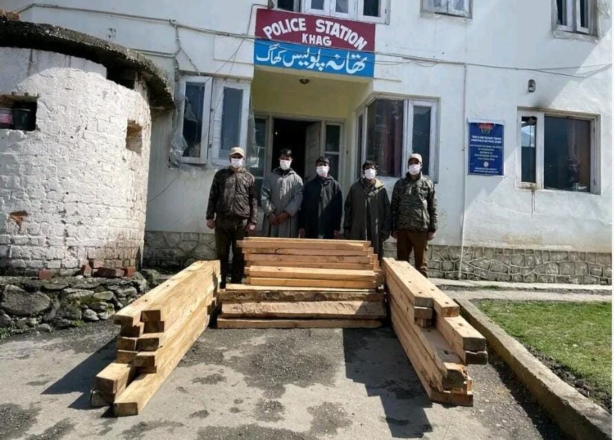 Illicit timber seized in Budgam, three arrested: Police