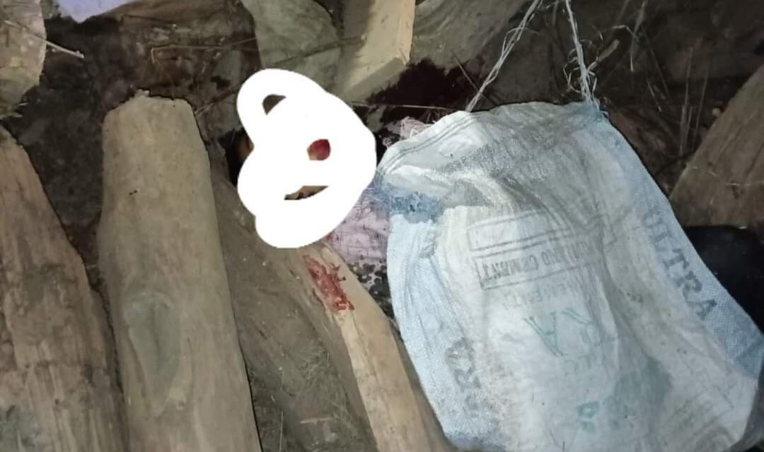 Throat-slit Body of Minor Girl Found in Kupwara