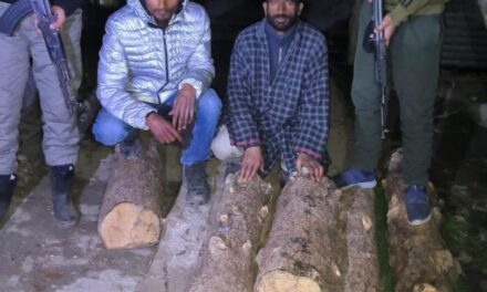 Police seizes illicit timber in Baramulla, 2 accused arrested
