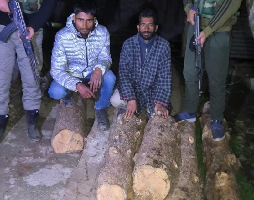 Police seizes illicit timber in Baramulla, 2 accused arrested
