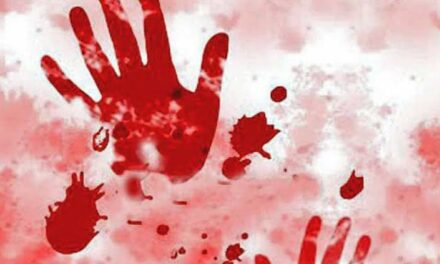 Young Woman Murdered, Chopped Into Pieces in Budgam, Accused Held: Police