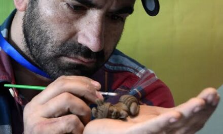 Tale of Talent & Potential: Mohammad Suhail Khan, Pulwama’s Specially-abled Artist Setting A Strong Precedent