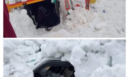 6 people rescued as massive avalanche hit near Zojila, no casualty reported