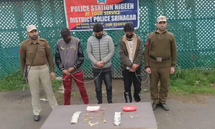 03 burglars arrested in Srinagar