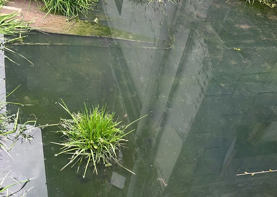 Filthy Water From Clogged Drainage Enters Houses In Umar Colony Lal Bazar