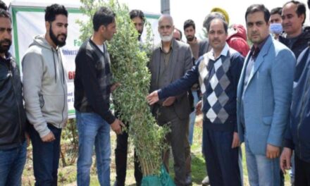 SKUAST Kashmir organized one day stakeholders cum training programme on scientific management of bat willow in Kashmir