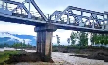 Rains damage vital bridge in Langate, public movement restricted