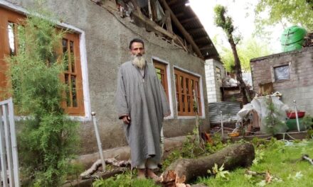 Narrow escape for family as Chinar Branches falls on house in Watlar Village of Ganderbal