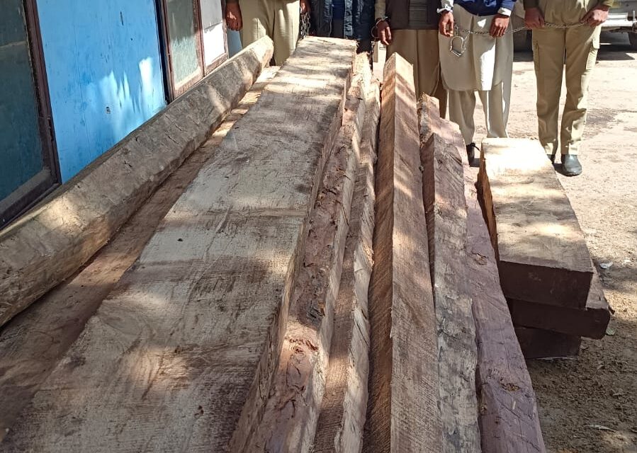 Police seizes illicit timber in Baramulla, 3 accused arrested