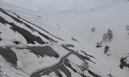 Margan Top Road opened after winter halt;Vehicle movement to be allowed within one week