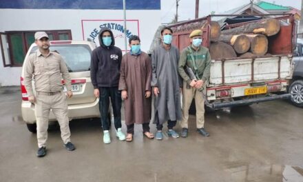 Police seizes illicit timber in Budgam; 03 arrested
