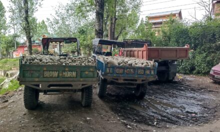 Geology Mining Department Ganderbal seizes 4 vehicles involved in illegal mining:DMO Ganderbal