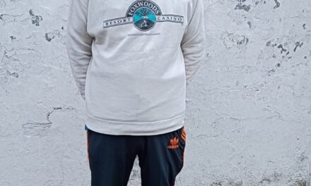 Former Hizb Militant Turned Militant Associate Held Along With Grenade in Kupwara: Police