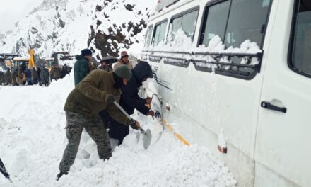 Two vehicles roll down after hit by avalanche on Zojila Pass