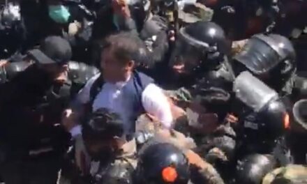 Imran Khan likely to be in custody of anti-graft agency for ‘four to five days’: Report