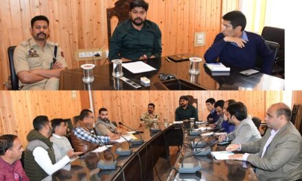 DC reviews regulation of services at Sonamarg