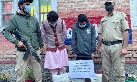 Two drug peddlers arrested in Ganderbal: Police