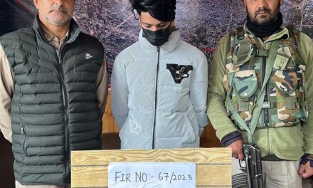 Reproached for ‘Romantic Relationship’, Jilted Teenage Boy Kills Girl’s Father in Batamaloo