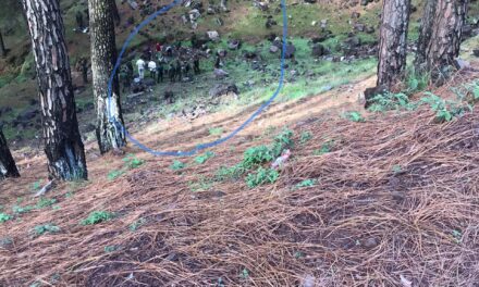 Rajouri gunfight: Militant killed in village near Rajouri town