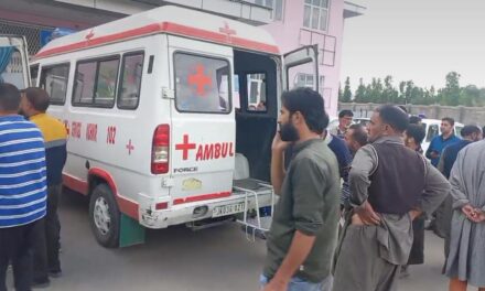 Driver, helper dead after Jal Shakti department vehicle skids off road in Anantnag