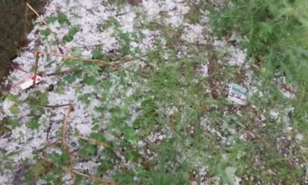 Heavy rains, hailstorm wreak havoc in Bandipora parts